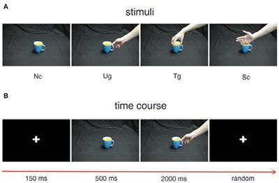 Weighted Brain Network Metrics for Decoding Action Intention Understanding Based on EEG